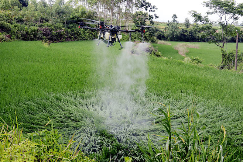 平桂區(qū)：植保無人機(jī)“飛防”保豐收:校平機(jī)

